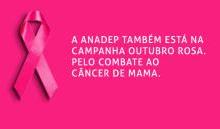 You are currently viewing ANADEP na Campanha Outubro Rosa 2016