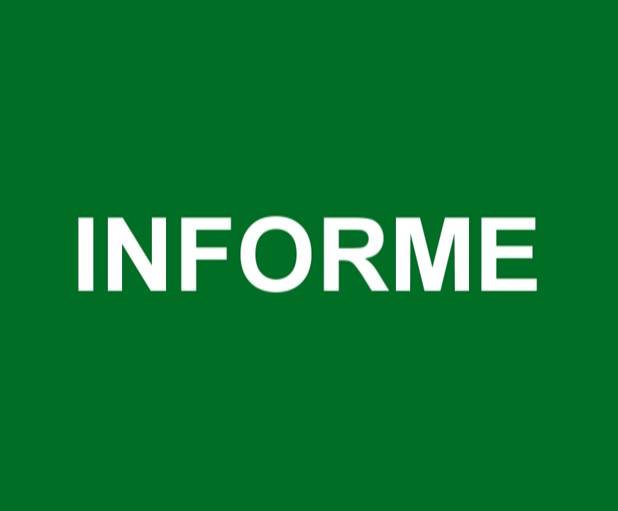 Read more about the article INFORME