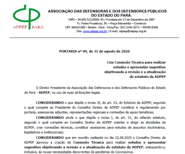 Read more about the article Diretoria da ADPEP cria comissões para elaboração de notas técnicas a respeito de leis, projetos de leis e revisão do estatuto da associação