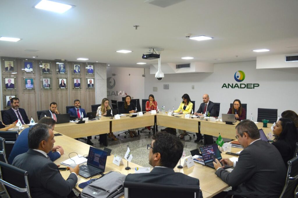 Read more about the article Adpep participa de  assembleia geral extraordinária da Anadep, em Brasília-DF