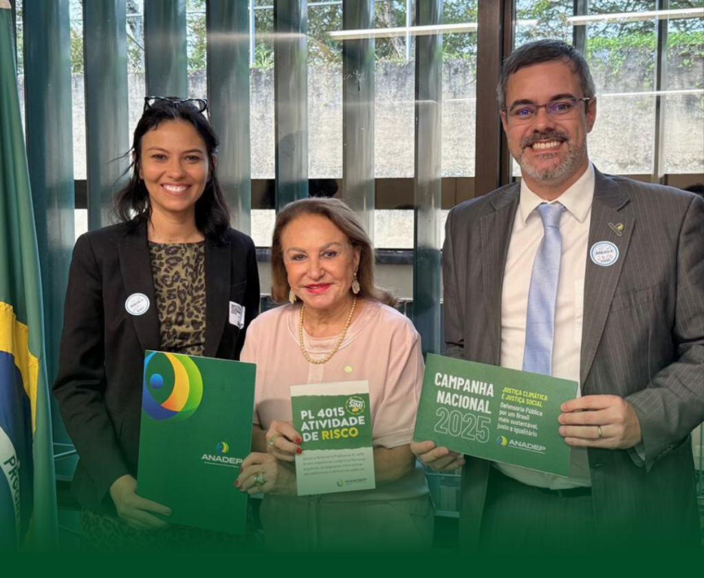 Read more about the article ADPEP e ANADEP visitam Deputada Federal Elcione sobre pautas ambientais e de interesse da categoria