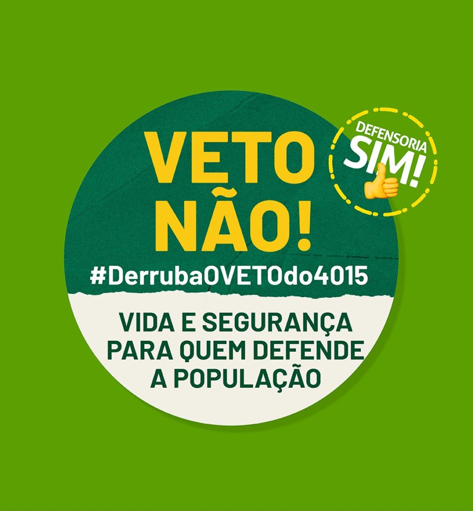 Read more about the article VETO NÃO!