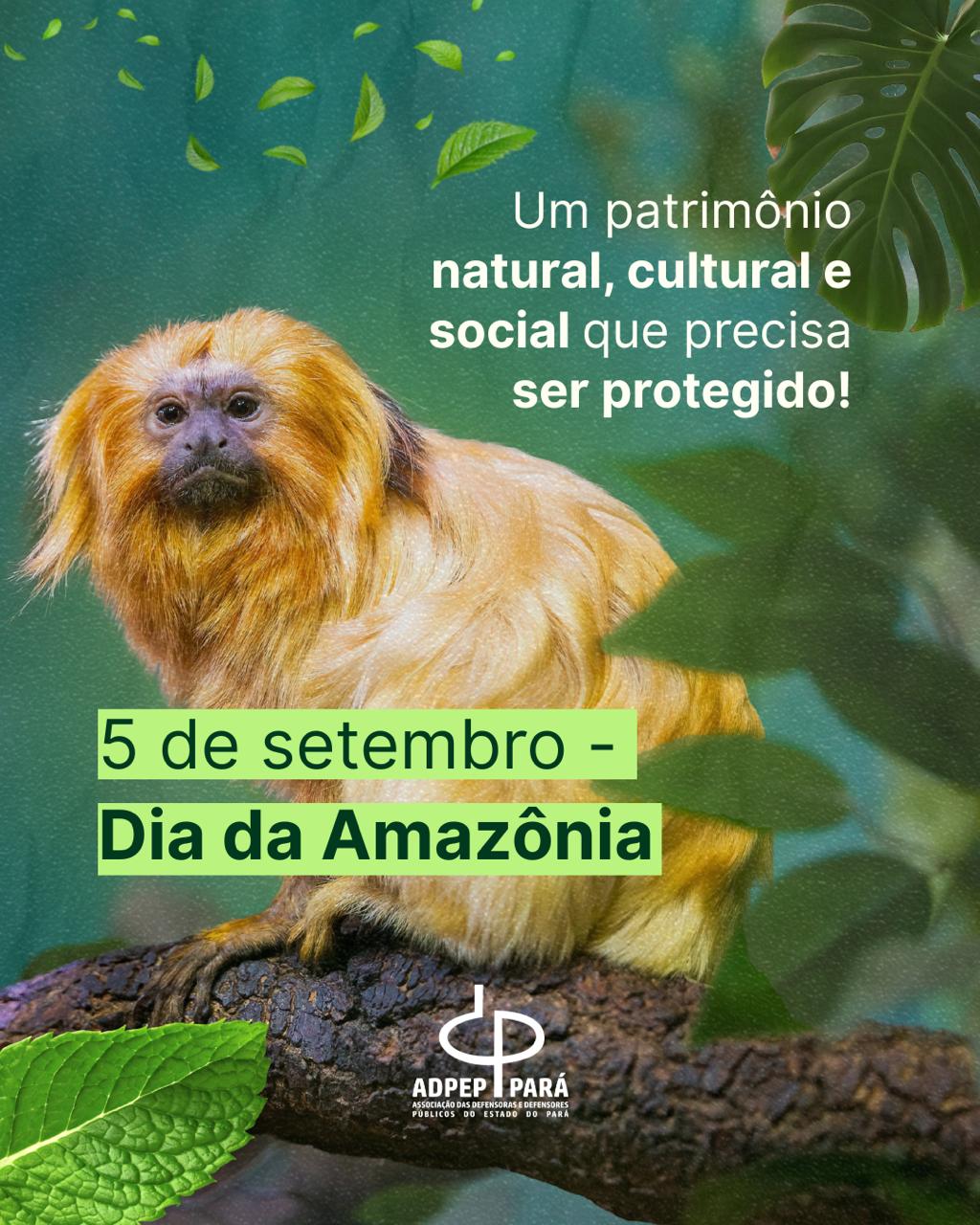 You are currently viewing 5 de setembro – Dia da Amazônia